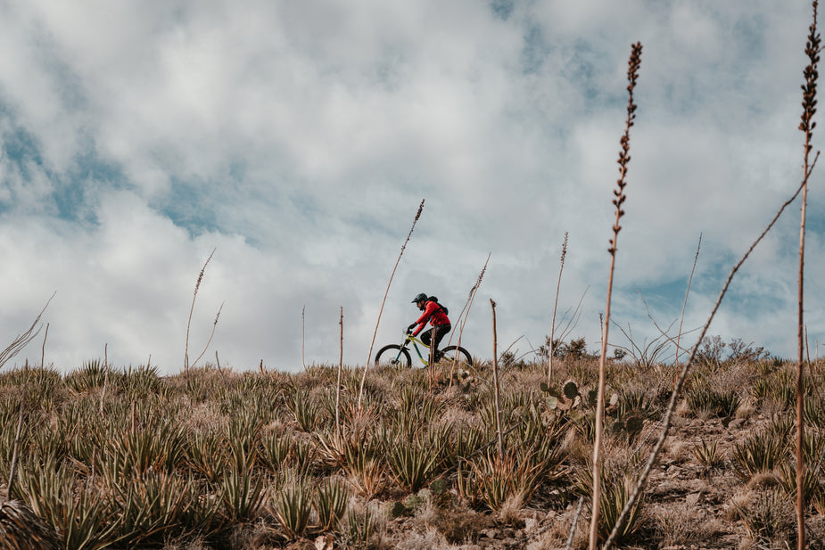 A brief history of mountain biking.