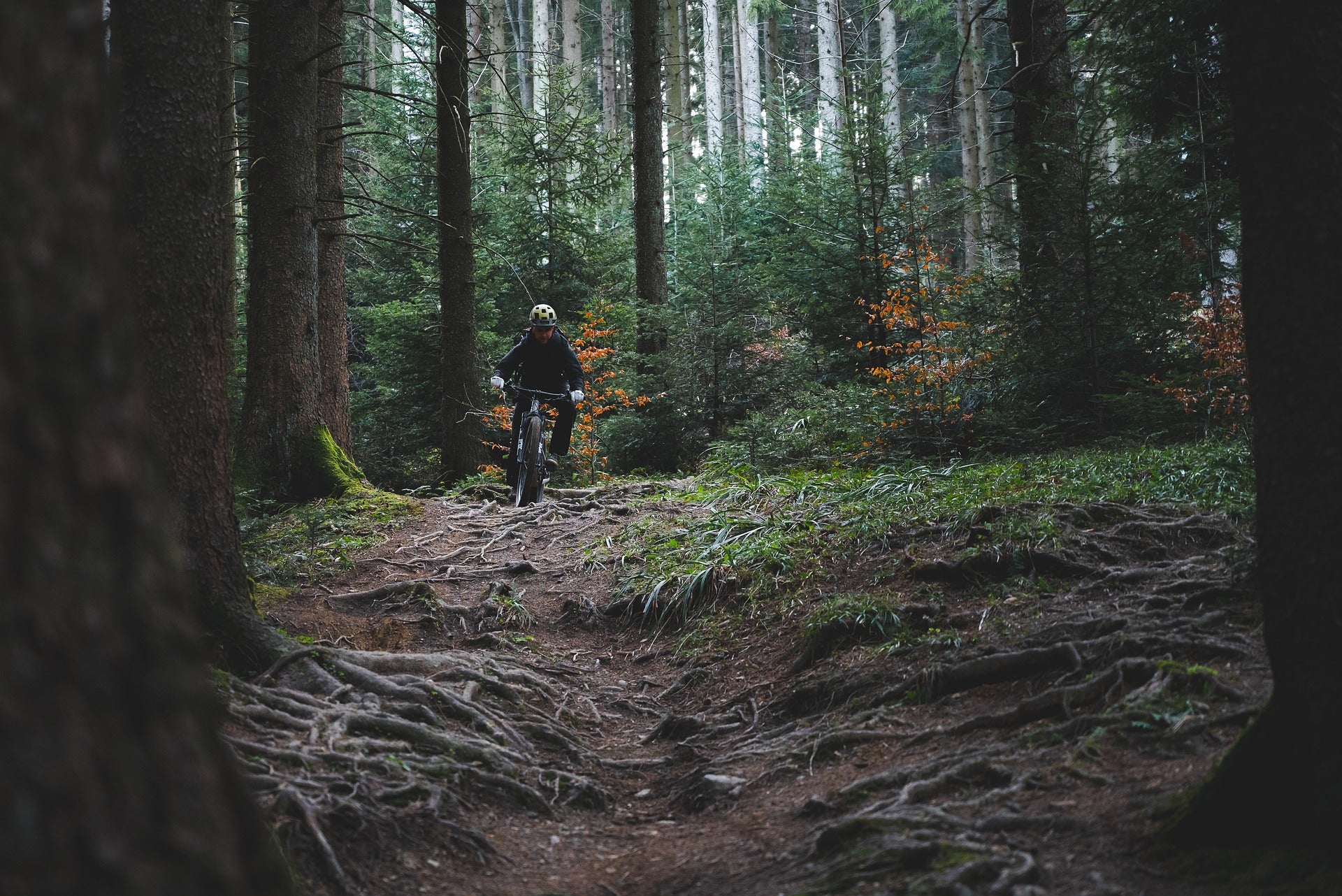 What is 'Flow' in mountain biking, and why is it EVERYTHING.